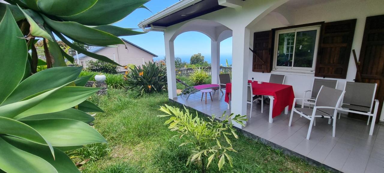 Case Tortue - Chambres Chez L'Habitant - 3 Etoiles Les Avirons المظهر الخارجي الصورة