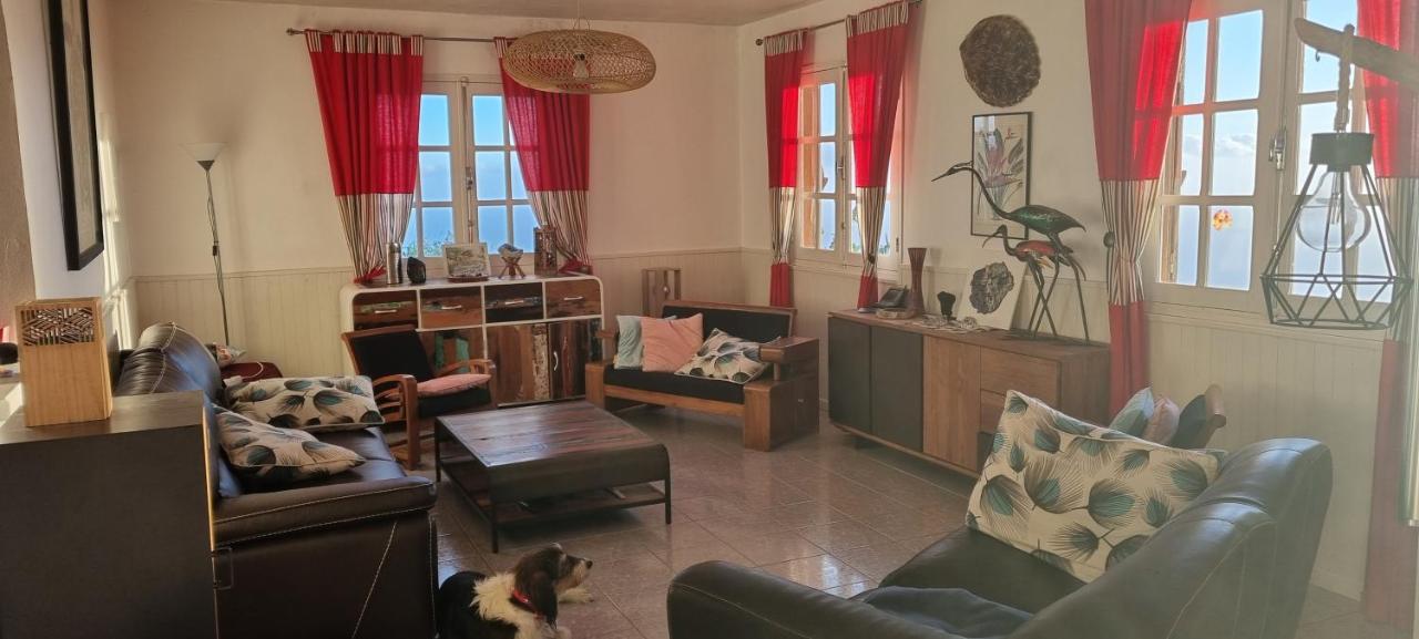 Case Tortue - Chambres Chez L'Habitant - 3 Etoiles Les Avirons المظهر الخارجي الصورة